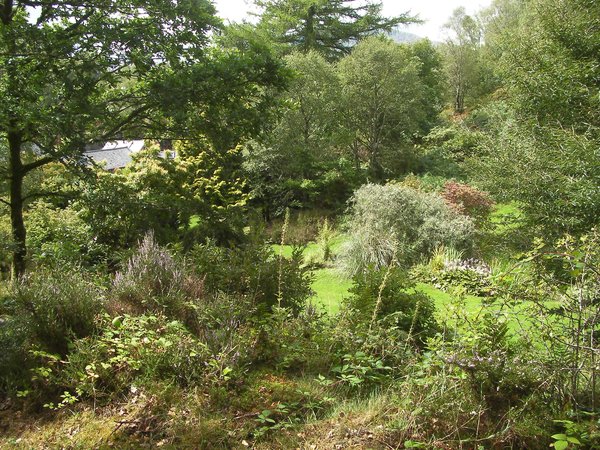 view from secluded area